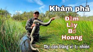 Cú Sốc Khi Bắt Được ‘Trăng’ Khổng Lồ Ở Đầm Lầy Hoang Vu