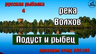 Русская рыбалка 4(рр4) - река Волхов. Подуст и рыбец.