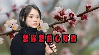 一首《想你想的心好痛》，句句走心，远方的你在哪里呢