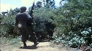 Activities of 9th Infantry Division about soldiers training in Dong Tam, Vietnam. HD Stock Footage