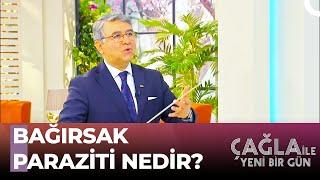 Prof. Dr Murat Tuncer'den Bağırsak Hakkında Bilgiler - Çağla İle Yeni Bir Gün 784 .Bölüm