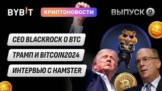 Интервью CEO HMSTR, Трамп и мемкоины, CEO Blackrock ошибался, что ждать от BTC в Q3? Новости Bybit