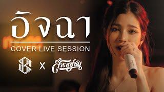 อิจฉา : บิว กัลยาณี อาร์สยาม [Cover Livesession Version แบม ไพลิน x วง สำราญชน]