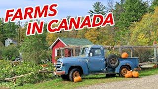 Living in Canada | What farms in Ontario look like