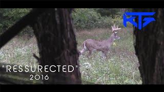 Trisha Kills Giant Kentucky Buck With Her Bow - Episode 1 KTG