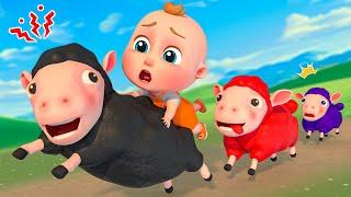 Baa Baa Black Sheep Song | Super Sumo Nursery Rhymes & Kids Songs