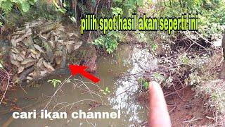 BAHAGIA BERIRING BANGGA NGURAS DI KALI MATI IKAN YG MAHAL SEMUA