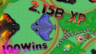 Mope.io |100 Arena wins and 2.15B max XP in mope beta | Server with bots