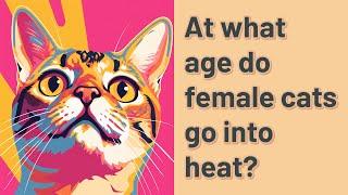 At what age do female cats go into heat?