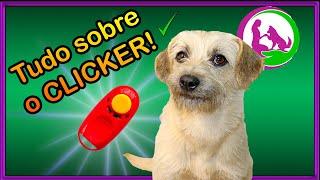 Como usar o CLICKER para adestramento! Cachorro e outros animais