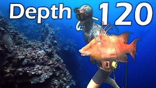 Spearfishing Underwater Cliffs in Crystal Clear BAHAMA Waters!