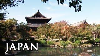 Japan: Shinto, Samurai und Shinkansen - Reisebericht