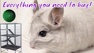 Beginner's guide to everything you need for a chinchilla | cage, bedding,food & more