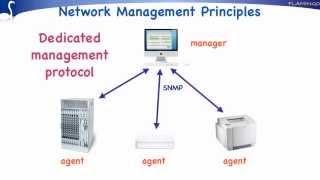 Network Management Principles