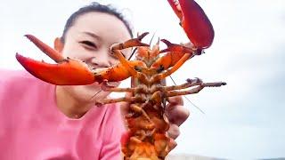 Xiao Zhang Ganhai, found a large eel at the drain! How can you grab it