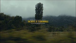 The route of stubbornness | Shot on BMPCC OG