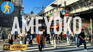Ameyoko Shopping Street - Tokyo, Japan 4K Virtual Walk