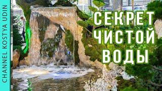 Главный секрет чистой воды (#LANDSCAPE) в пруду с водопадом! (The main secret of clean water)