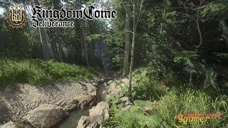 Kingdom Come: Deliverance | In the forest | 2.5 hrs ambient sounds