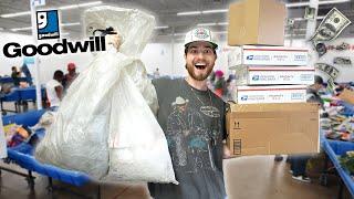 I Spent 3 Hours In The Goodwill Outlet! This Is My Profit... Thrift Challenge!