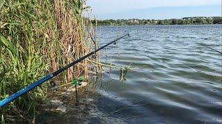 Журавлевка ! Рыбалка в городе Харьков. Обзор водоема, лето 2021 года.