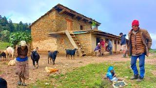 This is Himalayan Nepali village life|| Naturally And Beautiful mountain daily activities lifestyle