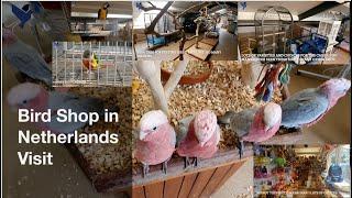 Bird Shop Visit in Netherlands 