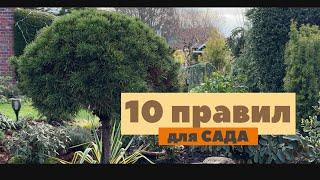 10 правил для создания сада  Личный опыт и знания 