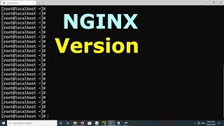 How to find NGINX version