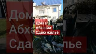 ДОМ У МОРЯ СДАЮ ЖИЛЬЕ В АБХАЗИИ