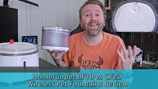 WHAT TO GET - Homerunpet BF10 vs CF20 Wireless Pet Fountains Review