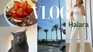 vlog: halara try on haul, q&a, songmics home, vocni/acai bowl, grwm ad