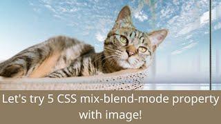 Let's try 5 CSS mix-blend-mode property with image!