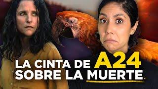 TUESDAY de A24 | ¿Muy “rara” para el público general?