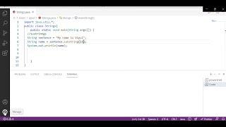 How to Fix Visual Studio Settings Not Showing Output in Terminal || Java || C++