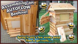    AUTOFLOW BEEHIVES! Constructing my first-ever beehive for the farm - HONEY, here we come!  