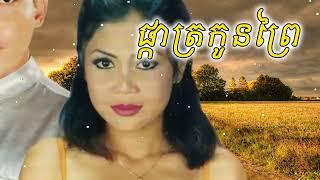 ផ្កាត្រគួនព្រៃ - ចម្រៀងខ្មែរក្រោម