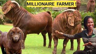 Cost Of Starting A Simple GOAT Farm Business!| Land,Breeds,Housing,Management.