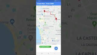 Flutter google maps directions alternative