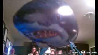 JACE HALL attacked by SHARK!!!