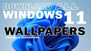 Download Windows 11 All Default Wallpapers On Your Pc | TechWiz Hub