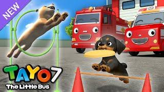 [NEW] Tayo S7 EP15 Our Dog is the Best! l Tayo English Episodes l Tayo the Little Bus