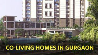 Co Living homes in Gurgaon II Delhi NCR Properties