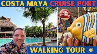 Costa Maya Cruise Port Walking Tour 