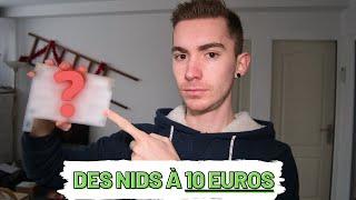 Un NID à FOURMIS pour 10€ ! UNBOXING + DEMENAGEMENT