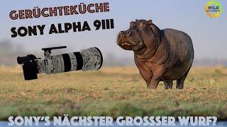 Neue SONY A9iii - Gerüchteküche brodelt, SONY's neuer grosser Wurf??