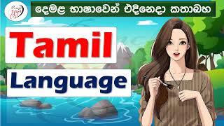 Let's learn Tamil | Punchi Danuma