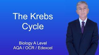 A Level Biology Revision "The Krebs Cycle"