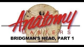 George Bridgman's Approach to the Head-- Part 1