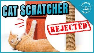 Why Your Cat Won’t Use the Scratching Post